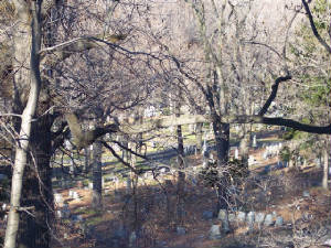 cemetery_park_by_lueya-d4wi5vh.jpg